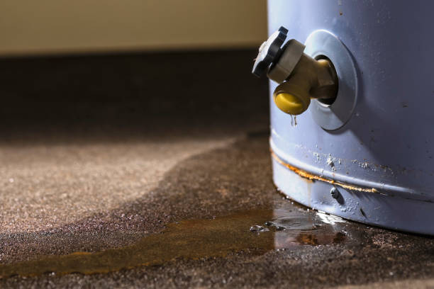 Best Flood restoration services  in Fredonia, AZ
