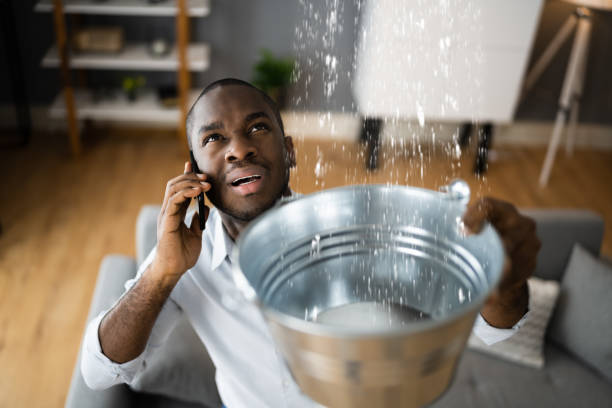 Best Commercial water damage restoration  in Fredonia, AZ