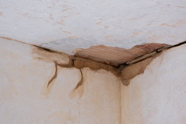 Best Flooded house restoration  in Fredonia, AZ