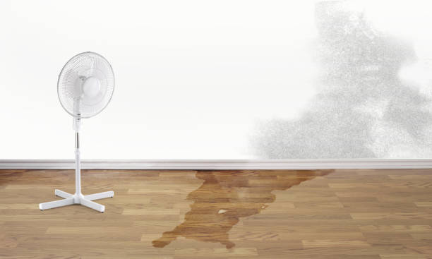 Best Sewage cleanup and water damage restoration  in Fredonia, AZ
