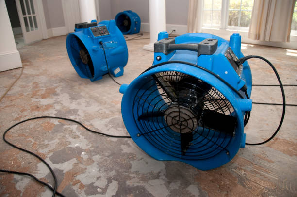Best Ceiling water damage repair  in Fredonia, AZ