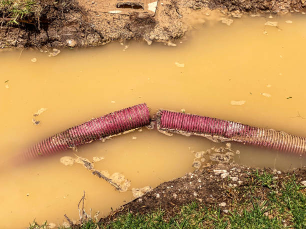 Best Water damage restoration near me  in Fredonia, AZ