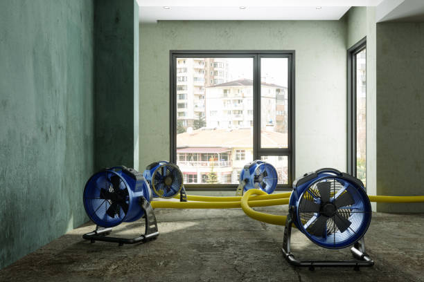 Best Fire Damage Restoration  in Fredonia, AZ