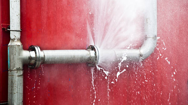 Best Mold removal after water damage  in Fredonia, AZ